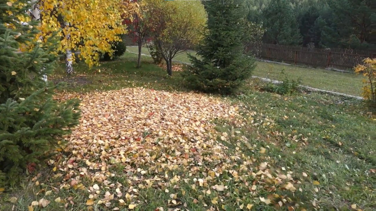 https://yuzhno-sahalinsk.mslandshaft.ru/storage/app/uploads/public/642/ac5/f22/642ac5f2293e2935715739.jpg